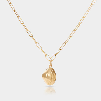 Gold-Shell-Necklace